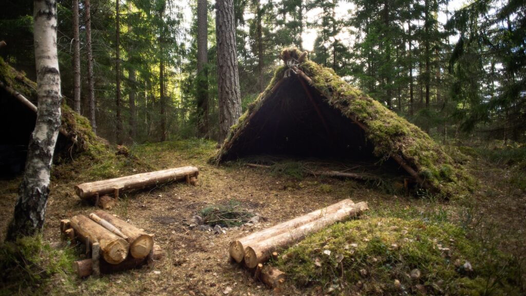 Construire un abris dans une forêt