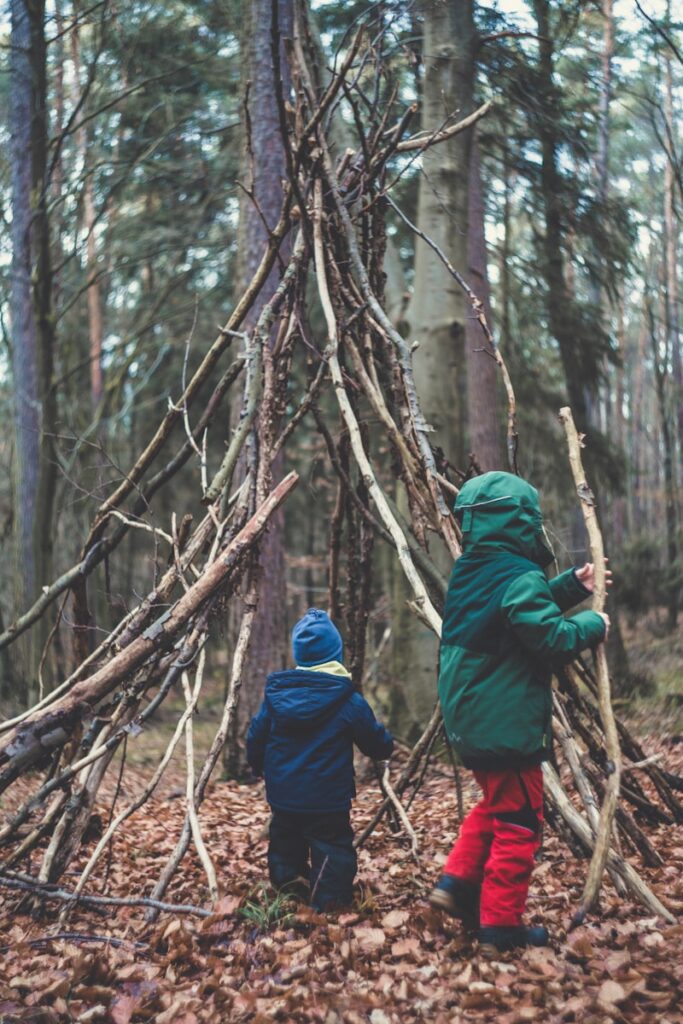 Survivre en forêt