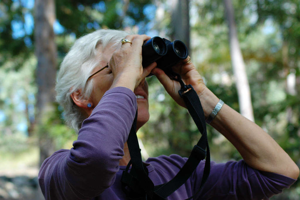 Paire de jumelles d'ornithologie pour observer les oiseaux