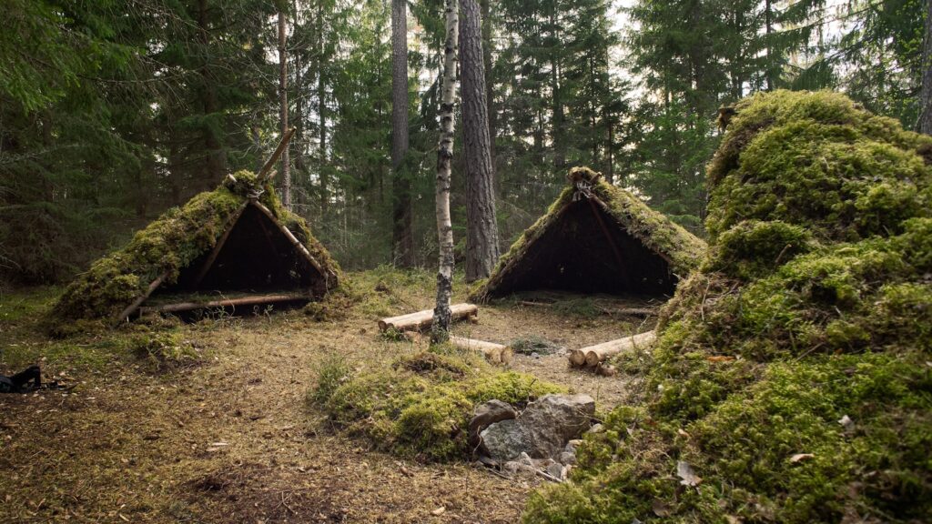 Survivre dans la forêt