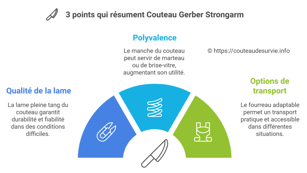 3 points qui résument Couteau Gerber Strongarm