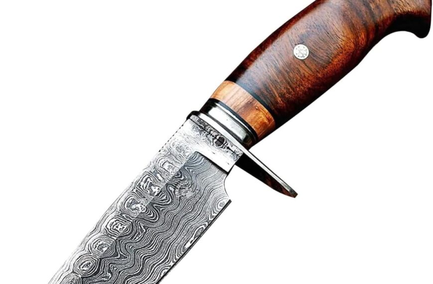 BIGCAT ROAR Wild Tiger