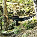 Stage de survie inoubliable plus de livres de survie pour vous aider