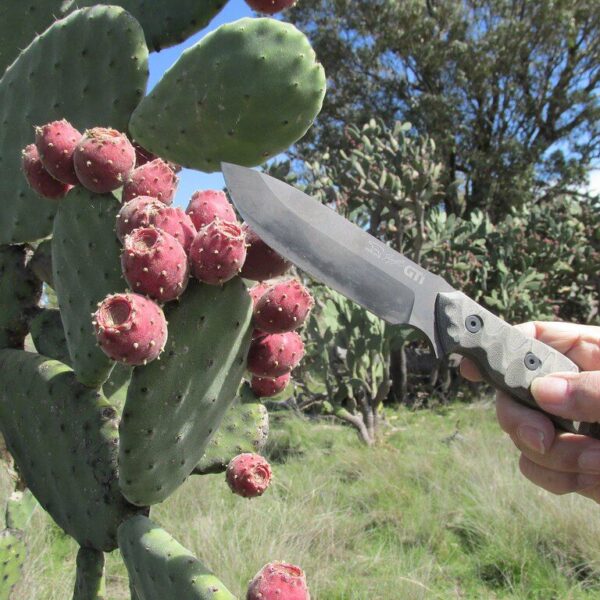 Entretien et affûtage d’un couteau de survie