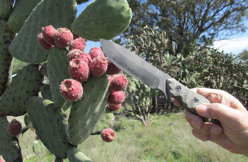 Entretien et affûtage d’un couteau de survie