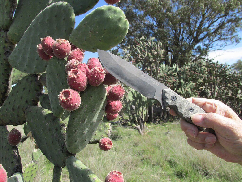 Entretien et affûtage d’un couteau de survie