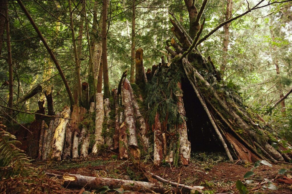 Construction d'un abri de survie en forêt avec des branches