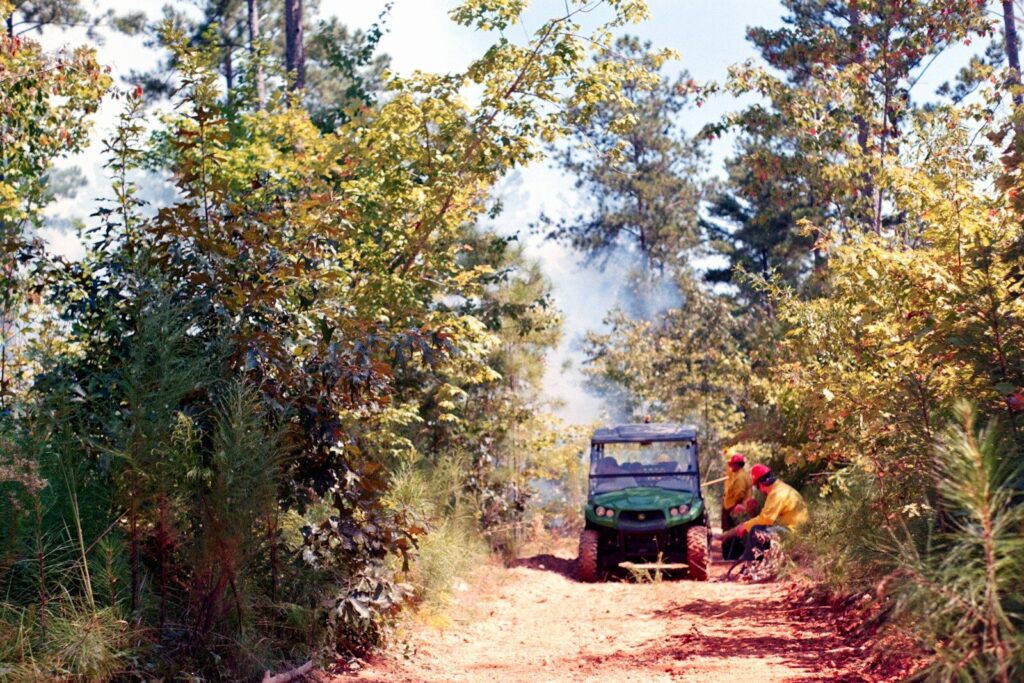 Signaux de détresse en pleine nature avec feu de forêt
