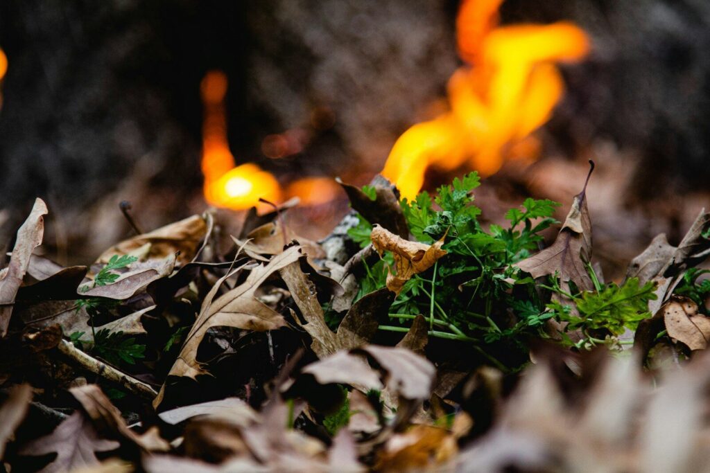 Pierre à feu et firesteel pour allumer un feu en situation de survie