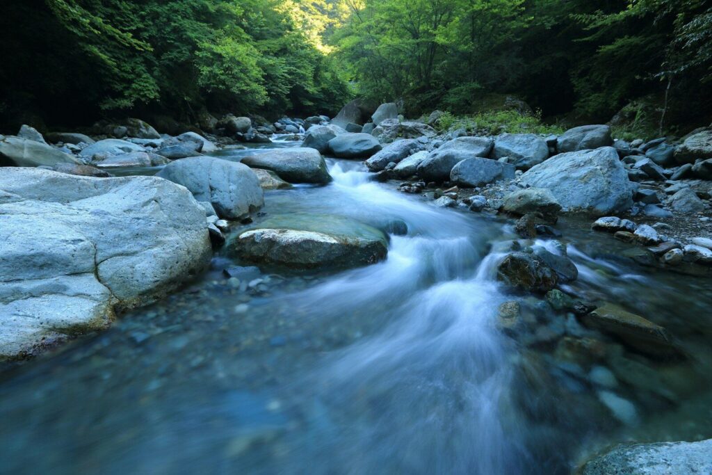 Cours d'eau en forêt — descendre le courant pour trouver une sortie