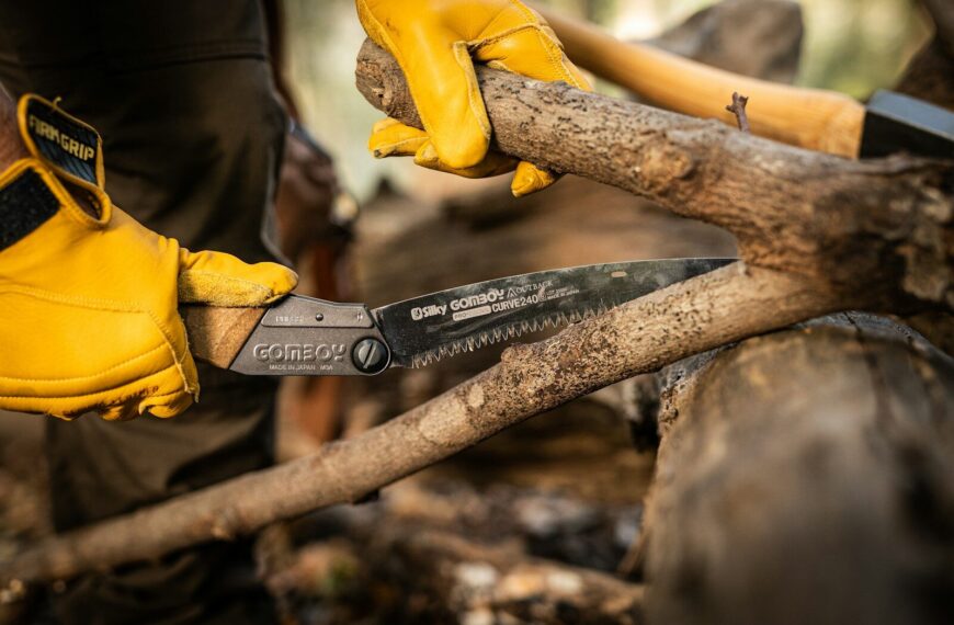 scie de survie pliante vs câble - scie pliante bushcraft en forêt pour la survie