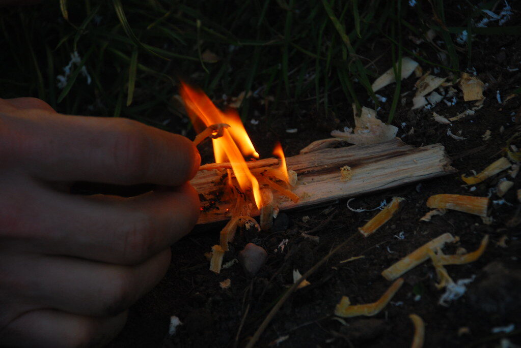 Allumage d'un feu de bivouac avec des copeaux de bois sec en forêt