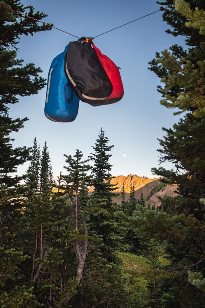 Paracord - longueur de corde pour un tarp 3x3 utiliser pour élever nos équipements