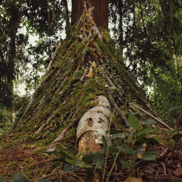 Construction d'un abri lean-to en forêt avec des branches naturelles