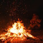 Feu de camp avec du bois dur en forêt française