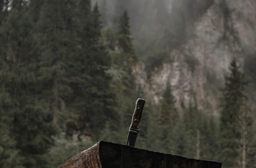 Couteau bushcraft débutant posé sur une souche en forêt lors d'une session de taille de bois