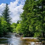 Comment trouver de l'eau potable en pleine nature – ruisseau de montagne