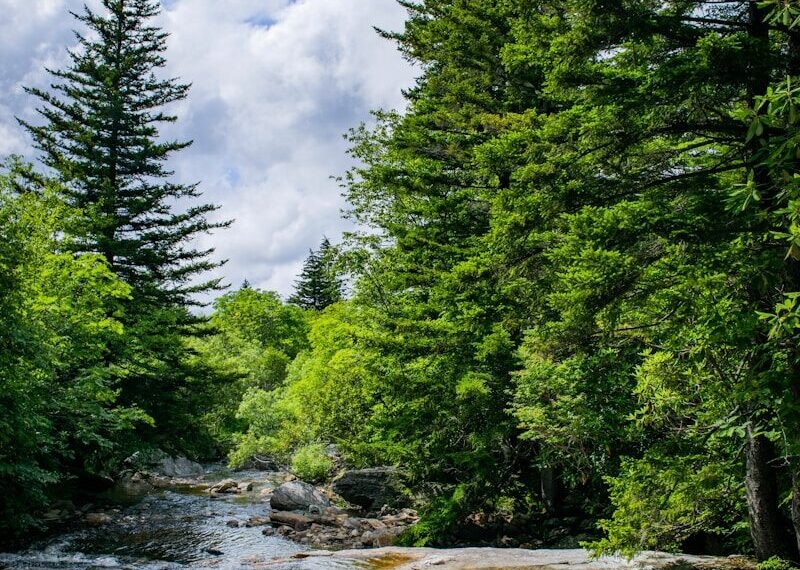 Comment trouver de l'eau potable en pleine nature – ruisseau de montagne