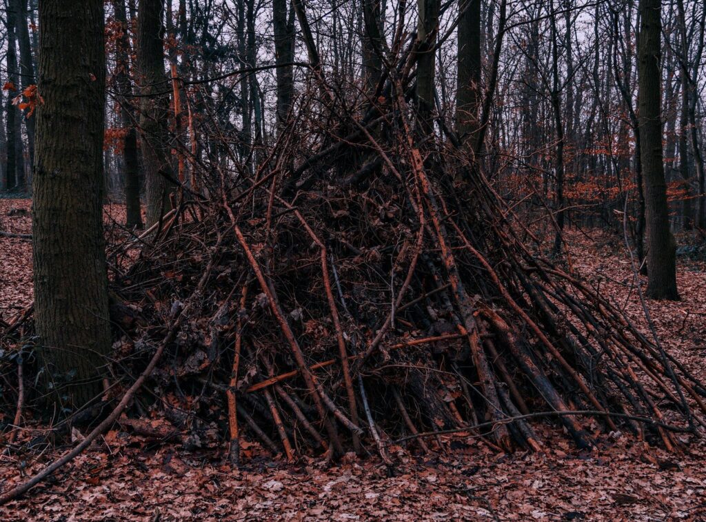 Abri de survie en forêt - Mieux que rien