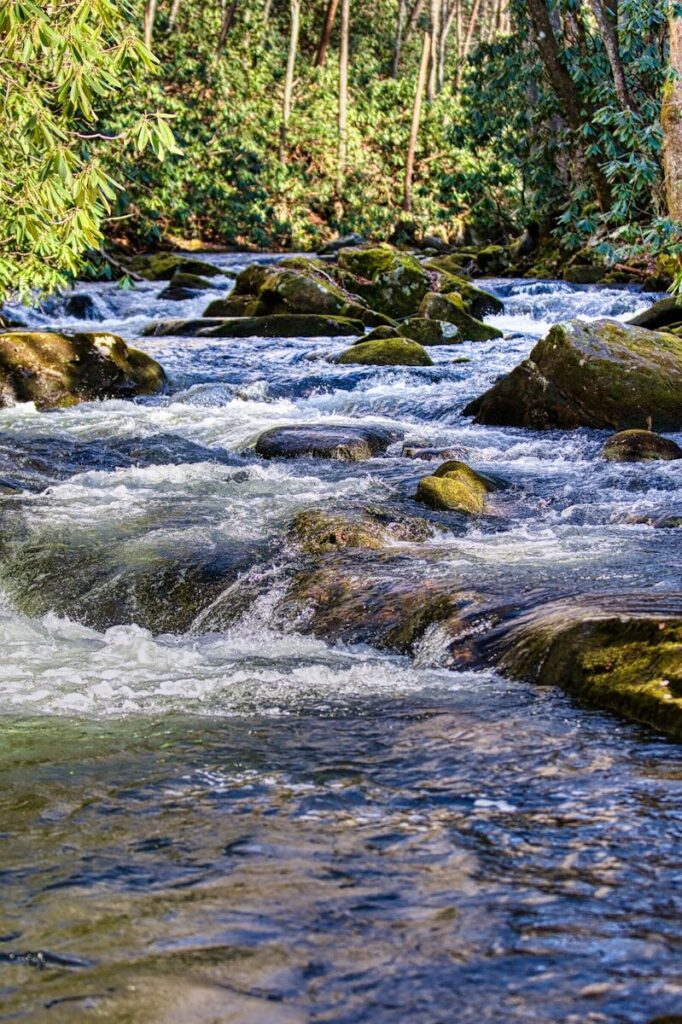 Source d'eau en montagne à traiter avant consommation