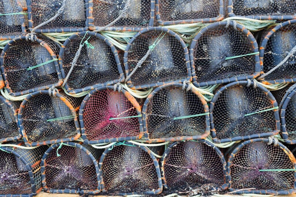 Comment Faire une Nasse à Poissons