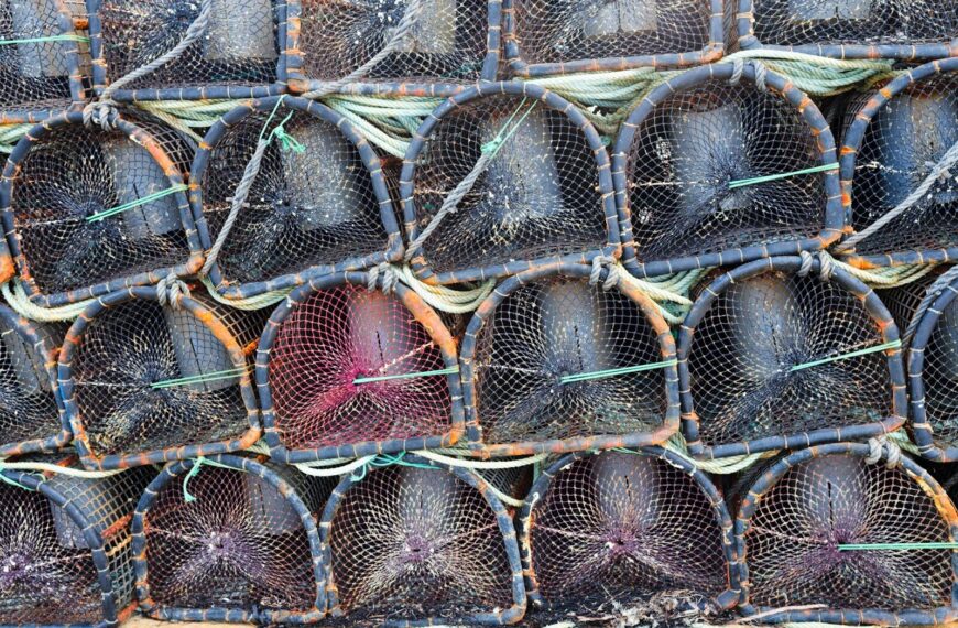 Comment Faire une Nasse à Poissons