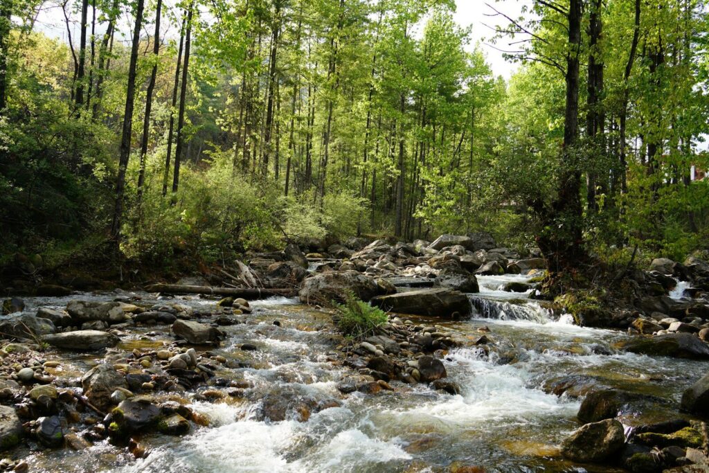 Source d'eau naturelle en montagne – filtration eau survie