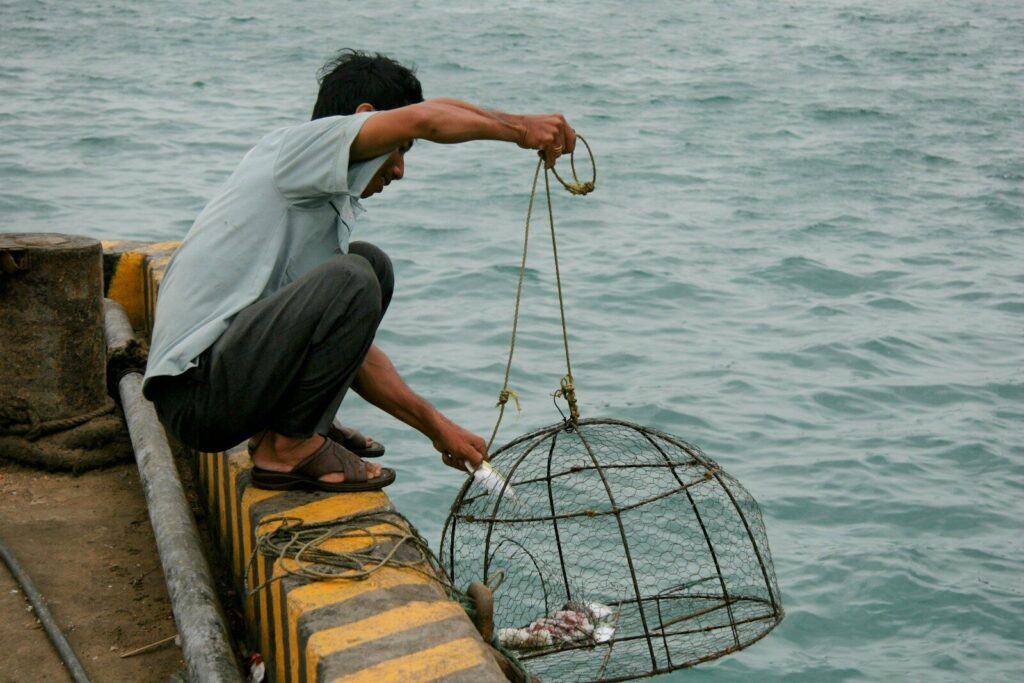 Installation d'une nasse a poisson en mer