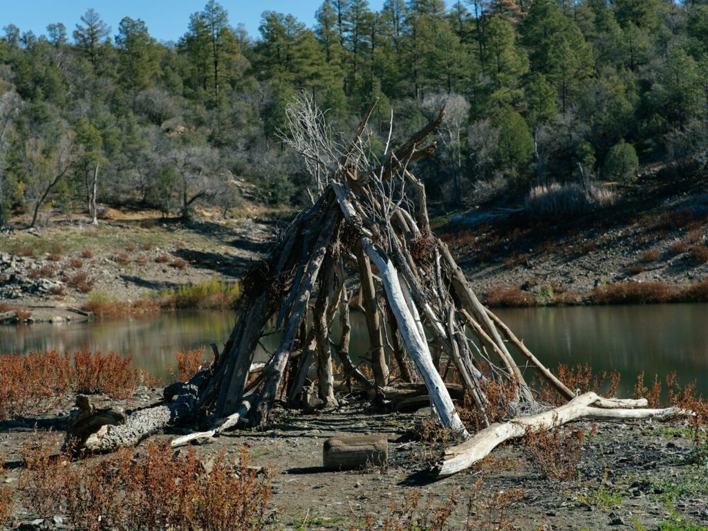 Abri naturel recouvert de feuilles mortes et branchages en forêt