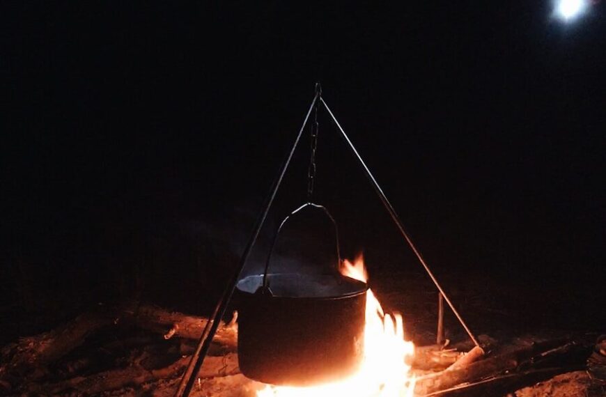 Bois Utiliser pour Faire du Feu - Un feu bien allumé avec bois sec pour faire à manger