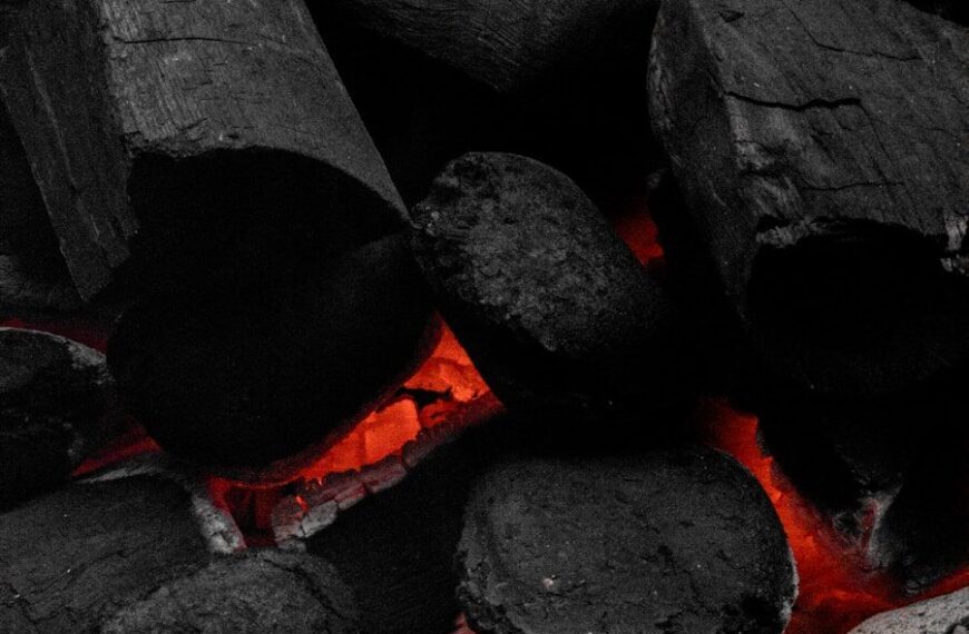 Comment faire du charbon actif maison en cas de survie - Fabrication de charbon de bois artisanal par pyrolyse pour la survie