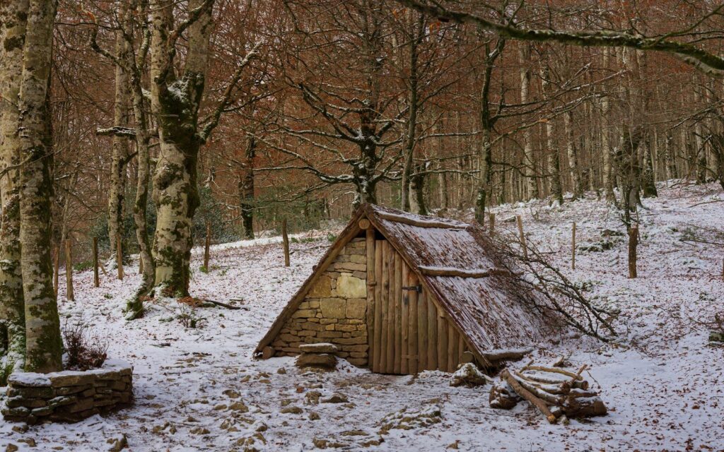 Abri de bois en hiver