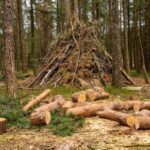 Construire un tipi en forêt avec perches de bois
